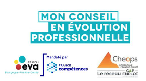 échanges de pratiques entre le conseil en évolution professionnelle et cap emploi